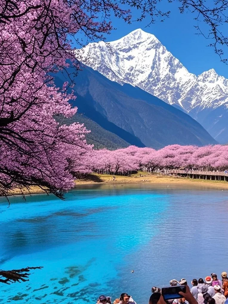 不愧是5A级景区天花板❤️接下来美翻了