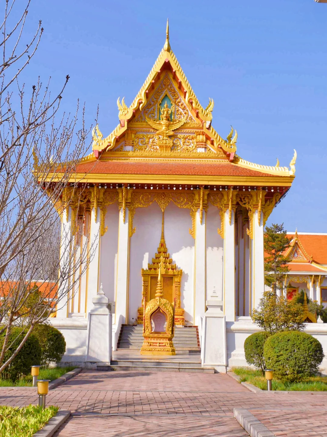 以为西安已经够美了，直到我去了洛阳……