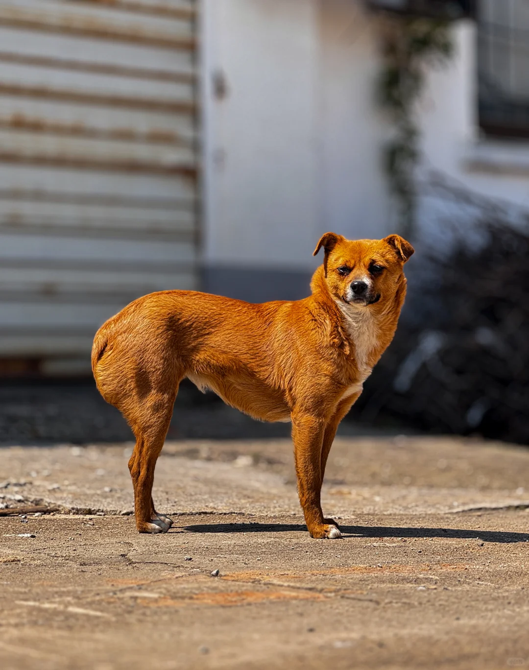 销售的休息天 ， 你会选择去哪里？