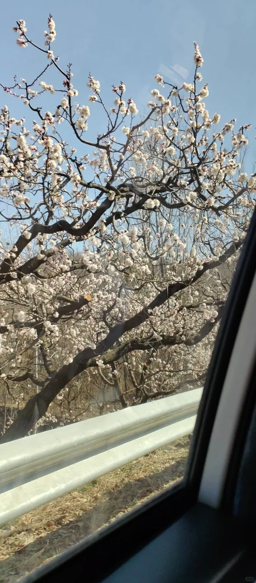 退休后我在南部山区的闲居生活