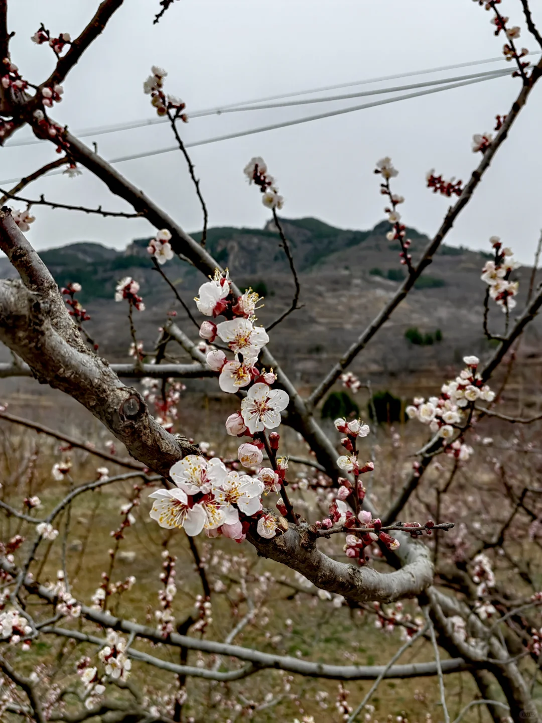退休后我在南部山区的闲居生活