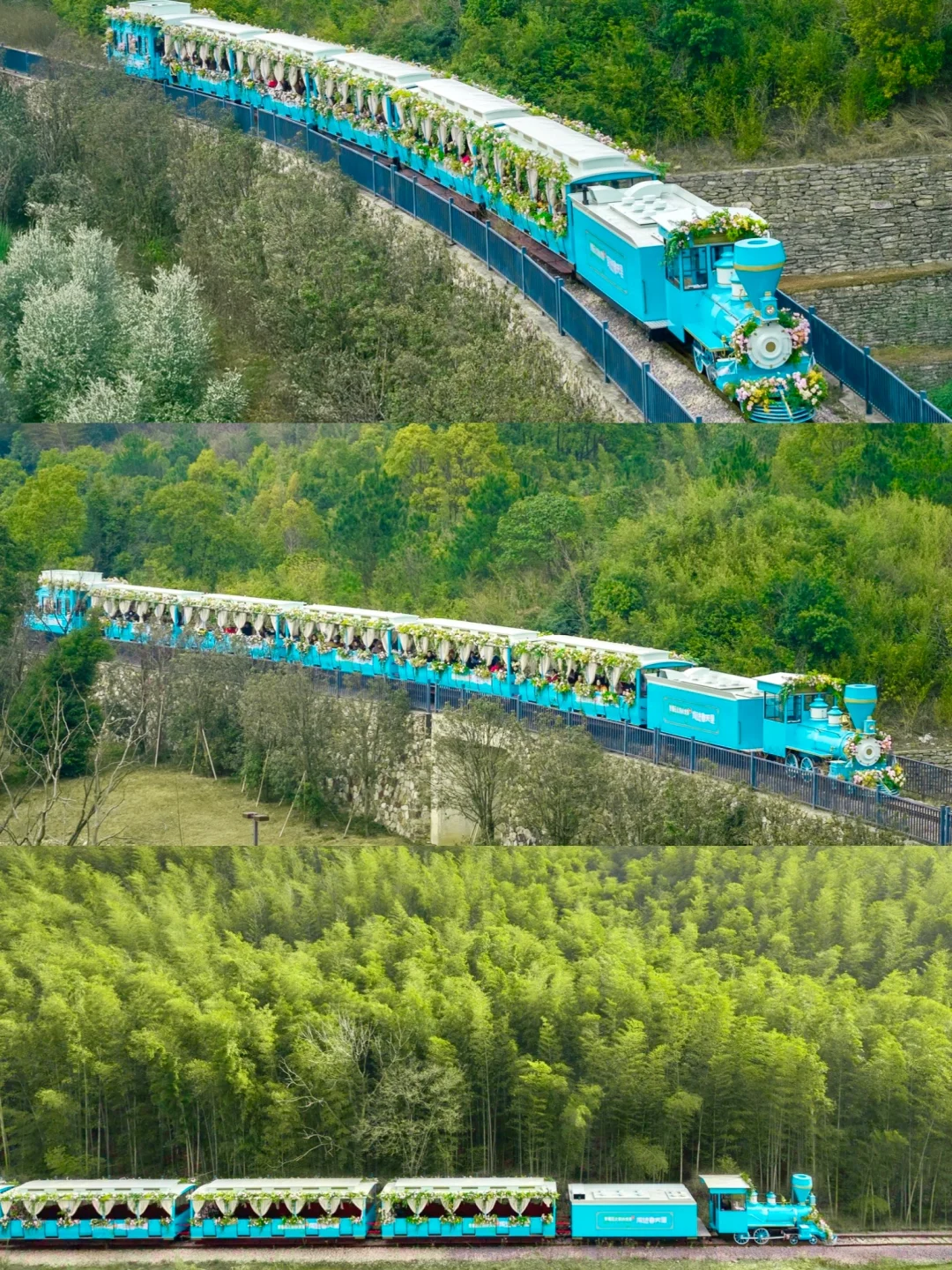 苏东坡没骗我，江浙沪被严重低估的宝藏小镇❗