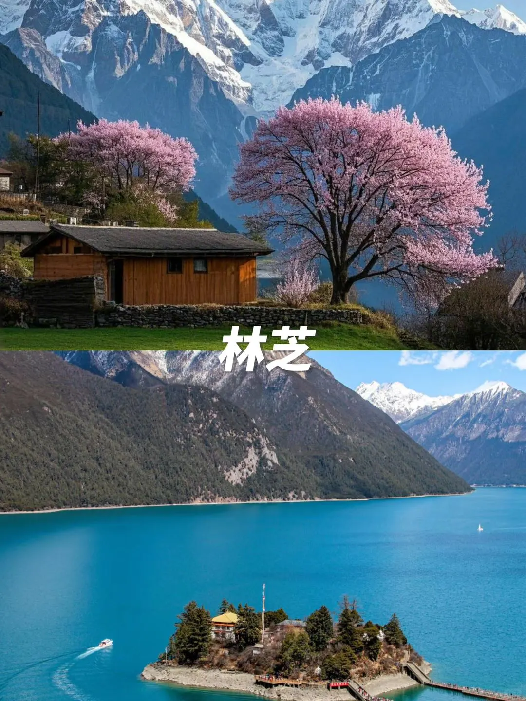 西藏旅游⚠️林芝羊湖纳木措4天3晚攻略✅