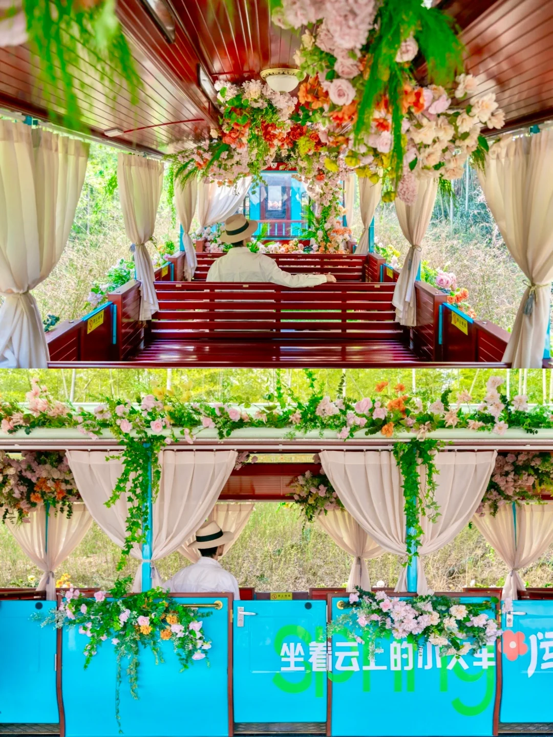 苏东坡没骗我，江浙沪被严重低估的宝藏小镇❗