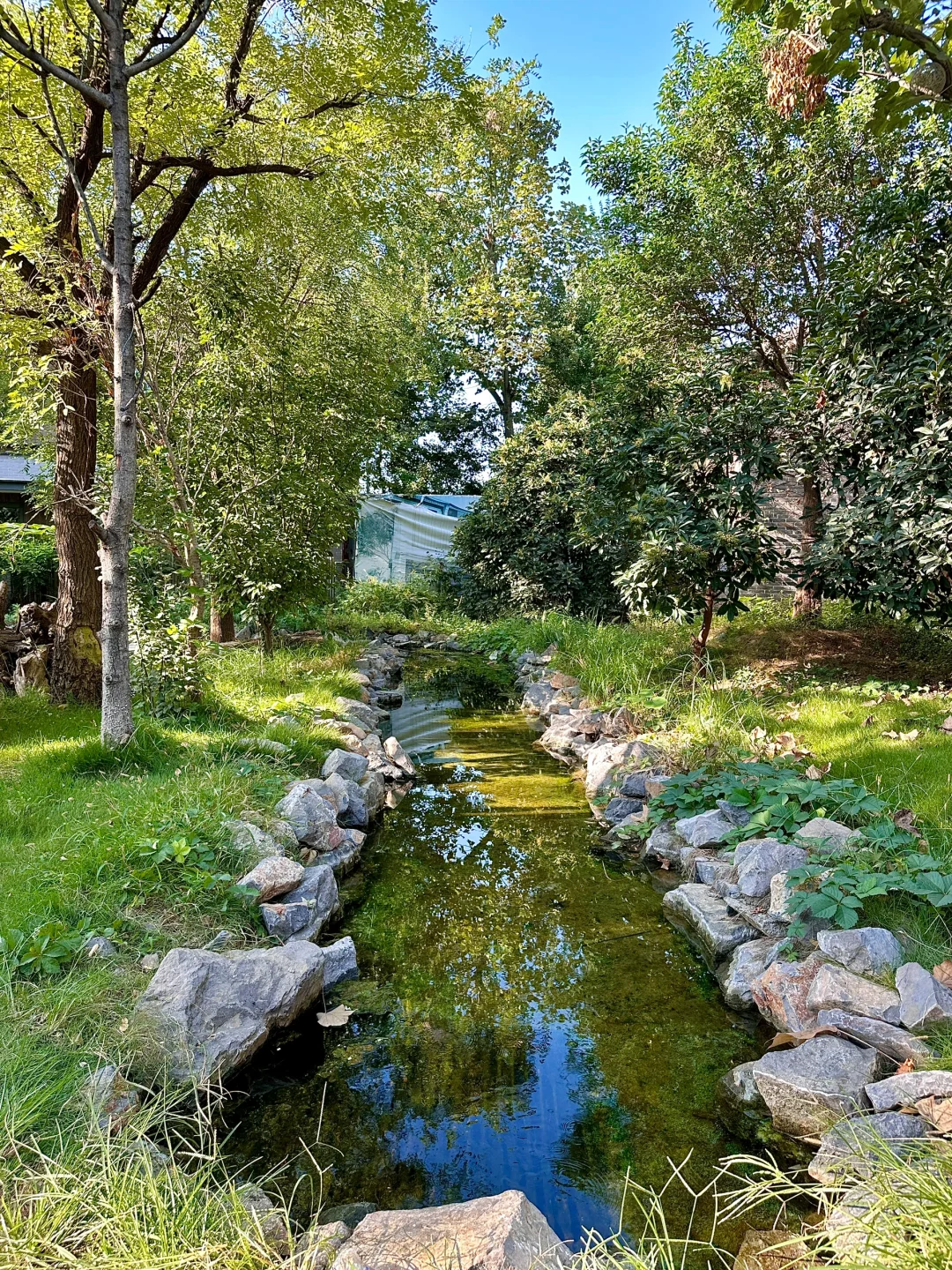 不是大理….是郑州！！！🥹🥹🥹