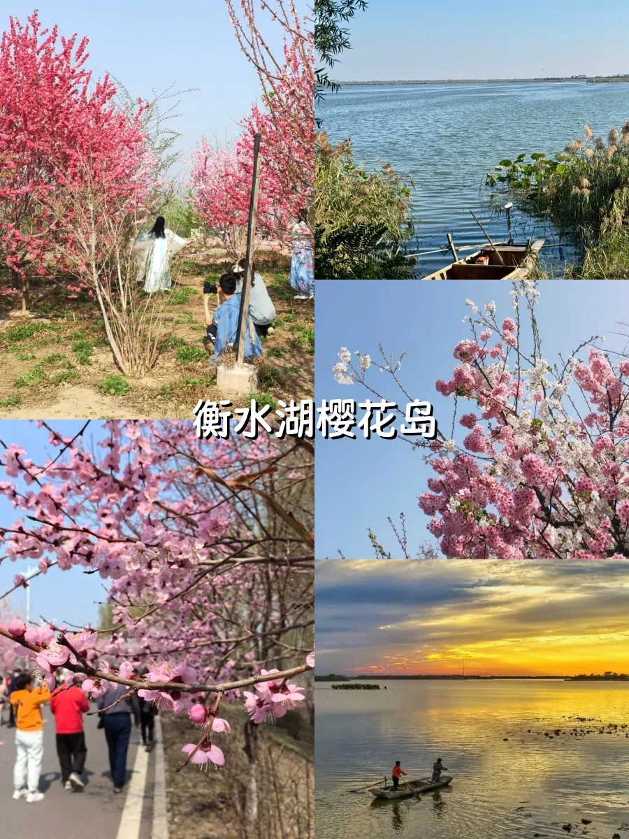邢台周边春游踏春1日路线🌷打卡绝美春色