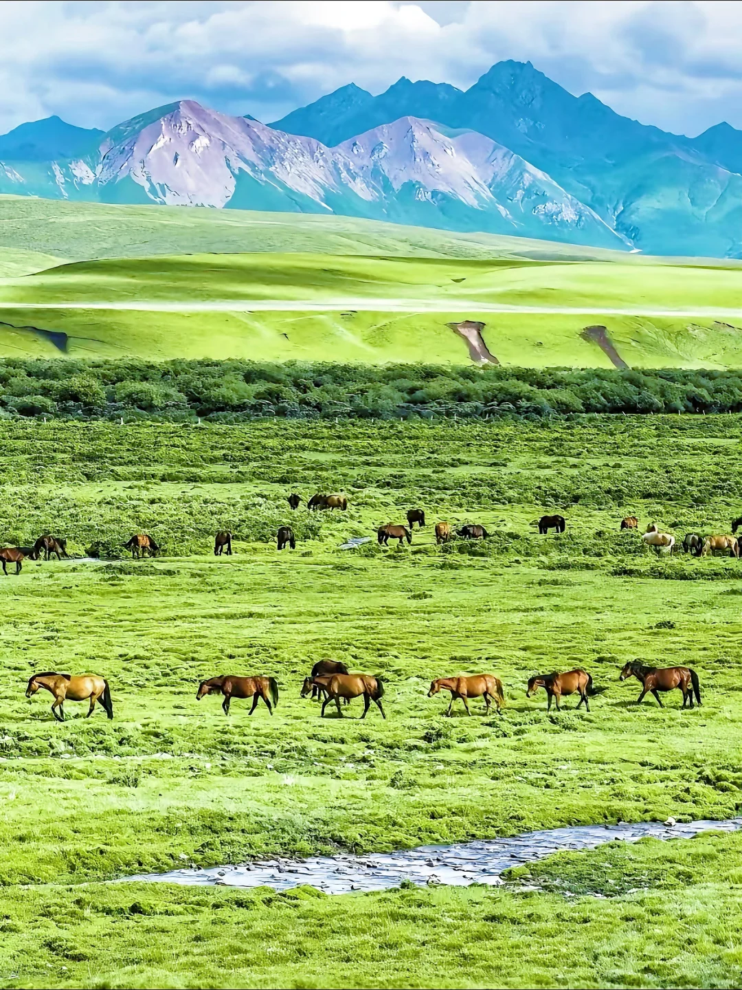 7天时间，带孩子去一趟河西走廊开阔眼界❗