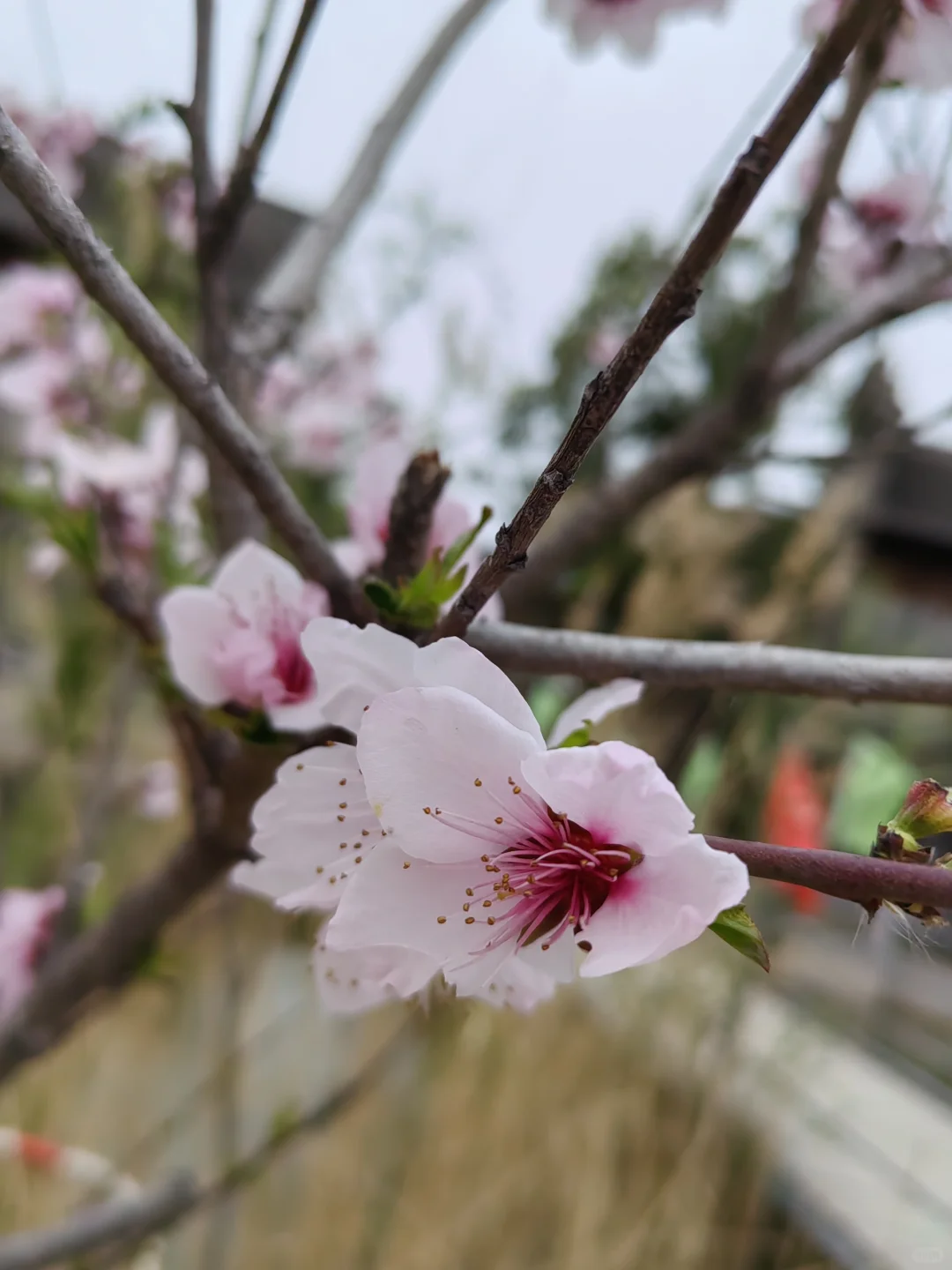朱仙镇，坑坑景区，不推荐