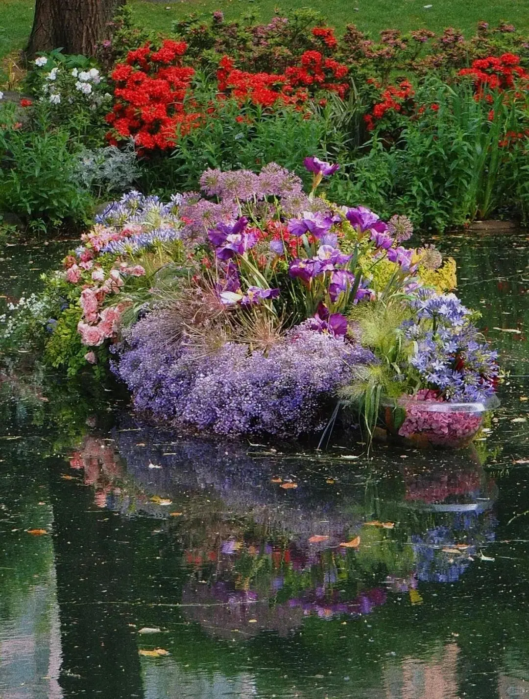 🌸共青森林公园春日撒野全攻略🌸