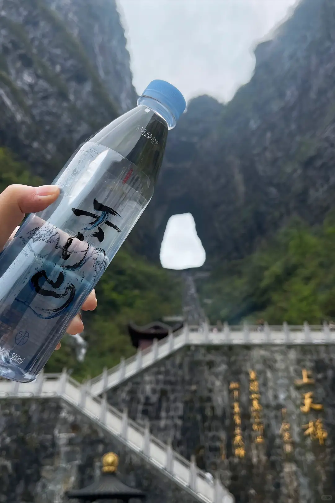 3.15张家界已回想说点不一样的大实话