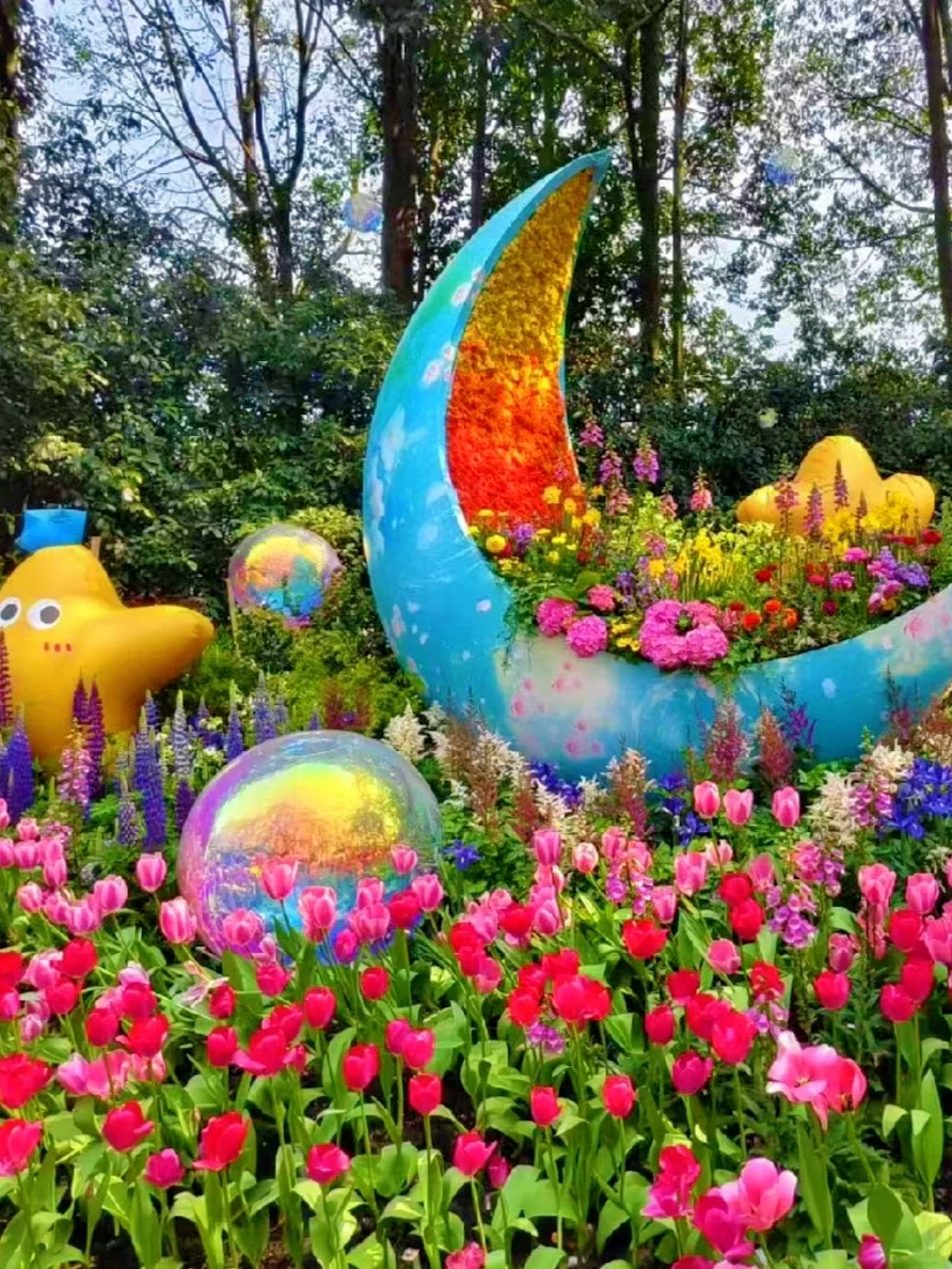 3.19实况！杭州太子湾刚回来，全是大实话！