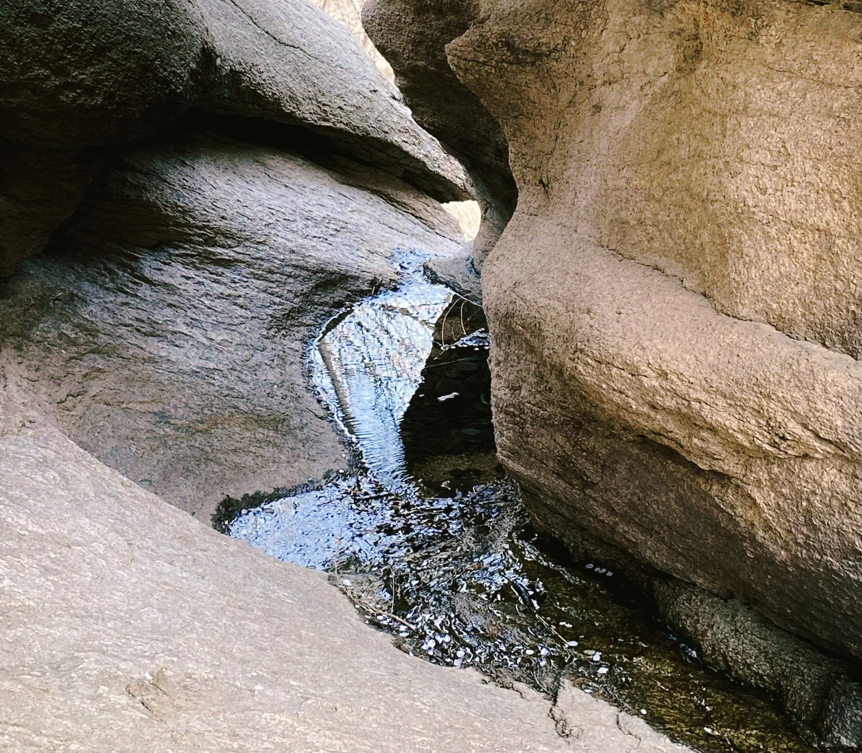 白虎涧｜这条非景区线路首探·野