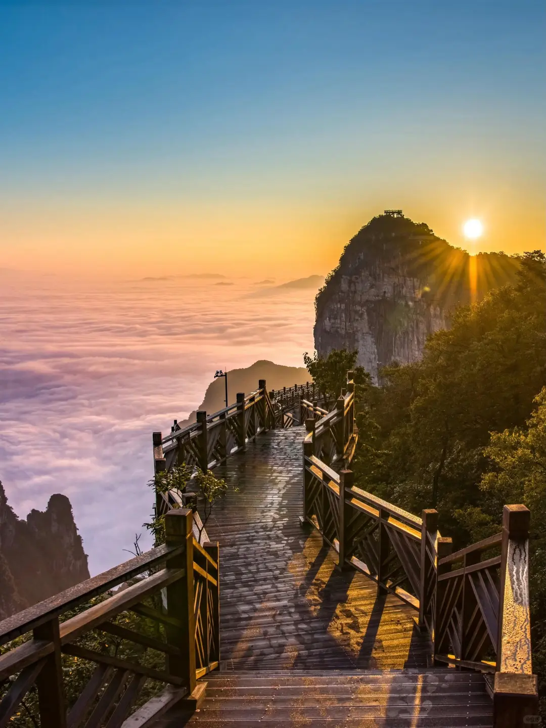 3.15张家界已回想说点不一样的大实话