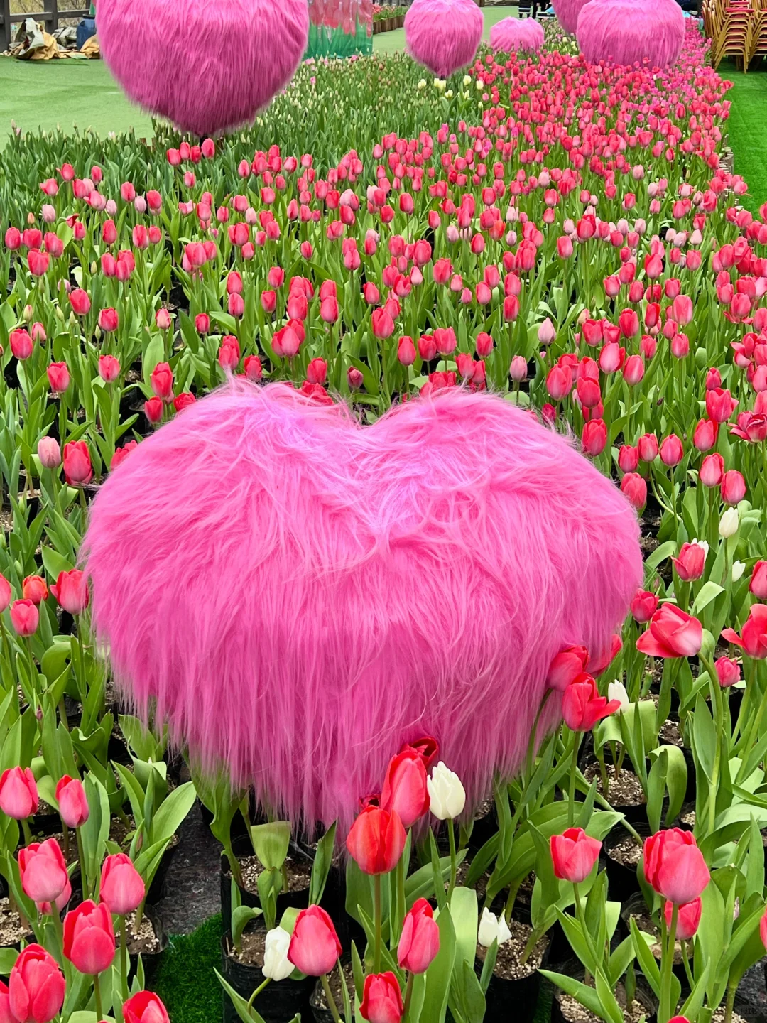 超详细❗河南新乡宝泉一日游攻略来咯