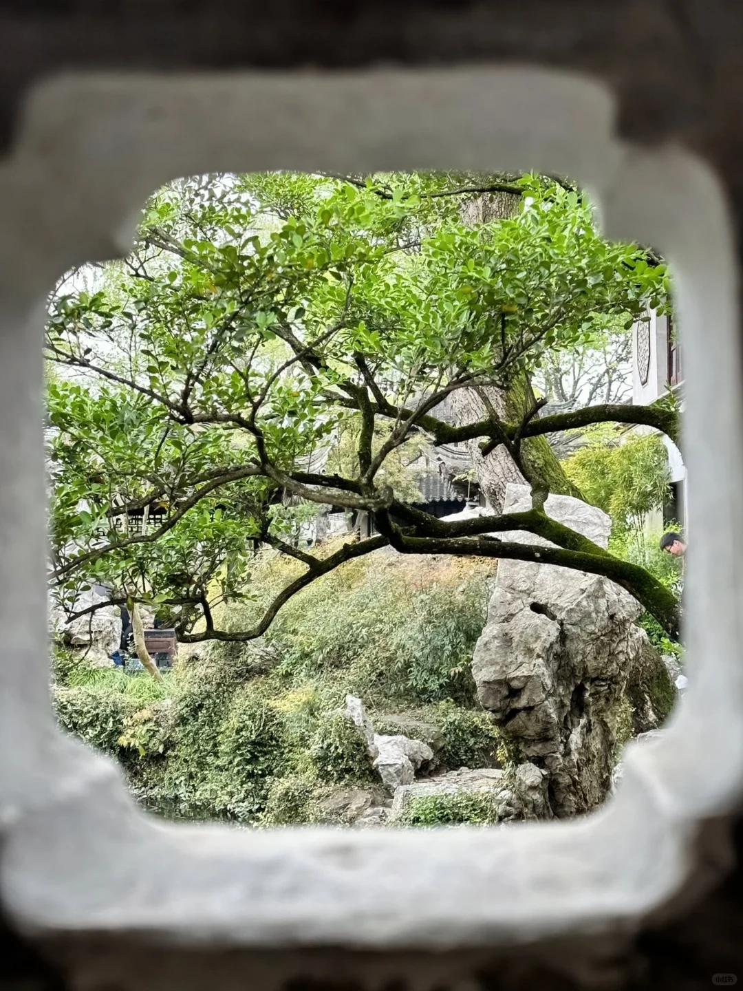 苏州📍2天1晚攻略已做好✅ 建议复制这条路线