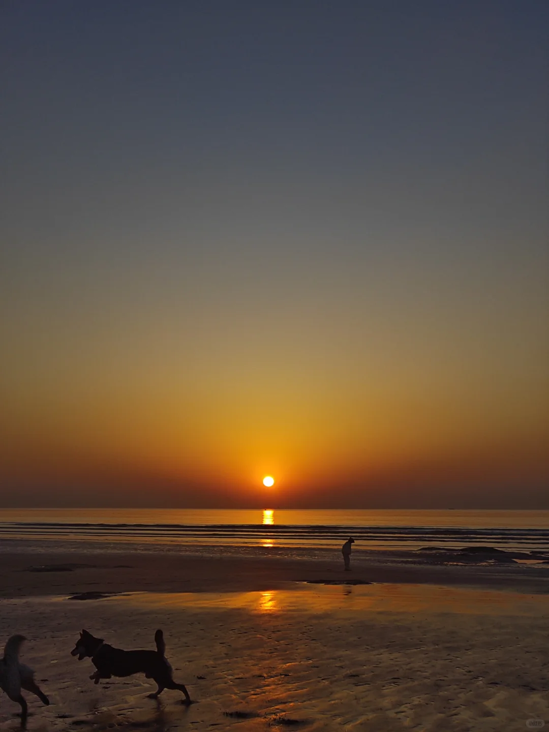 说走就走的日照之行