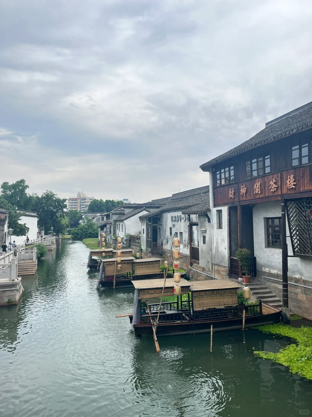 湖州一日游攻略🔥超全美食不踩雷指南‼️