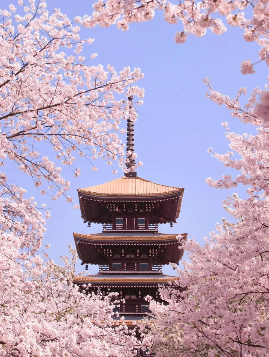 3-5月🌿适合大学生穷游的10大城市🔥