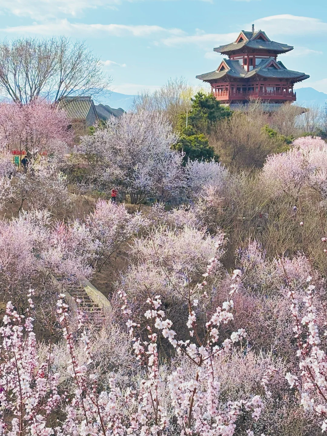 3.18 园博园桃花谷（附机位和地图）