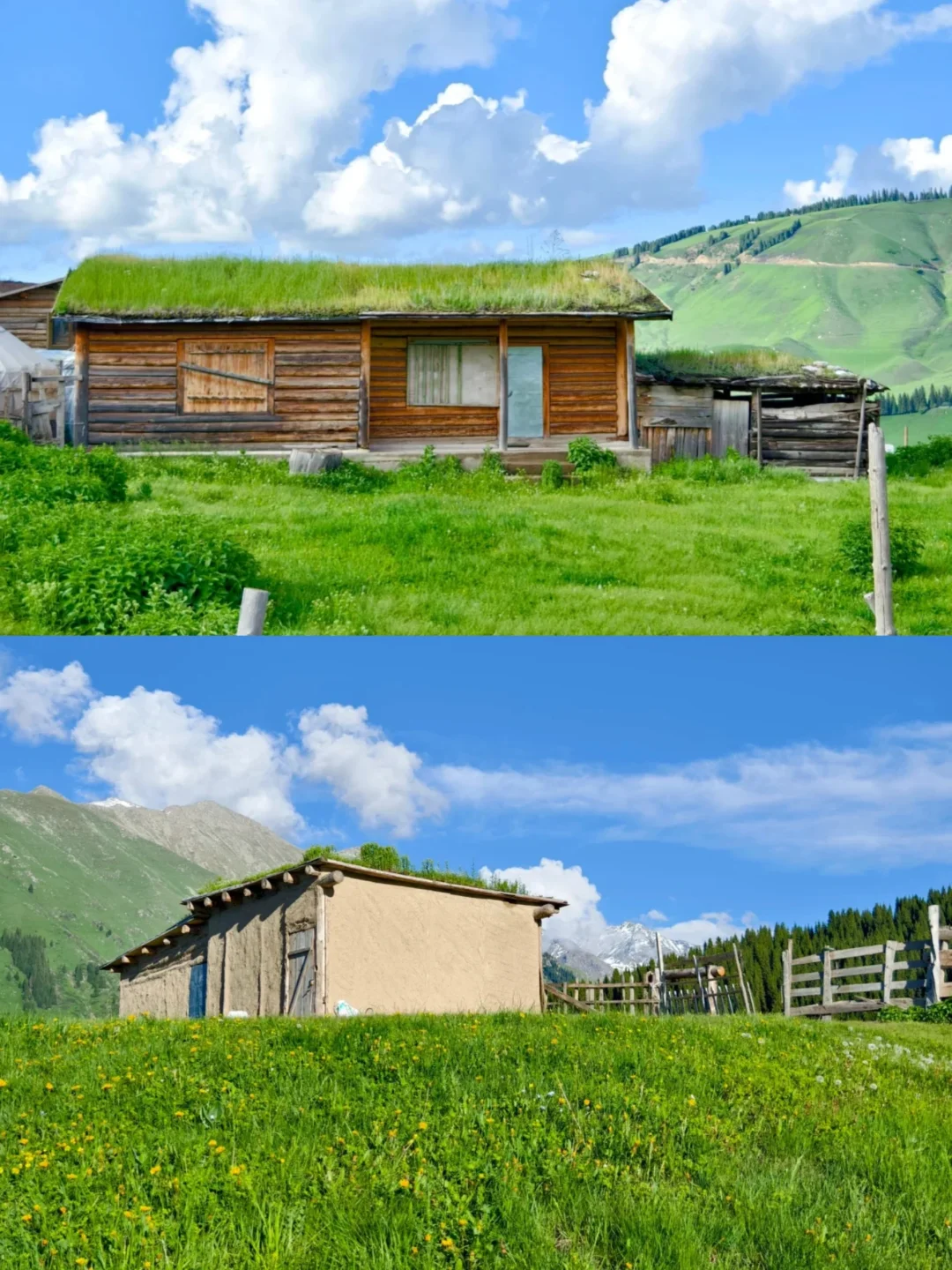 青春没有售价，大学生勇闯🏃新疆！