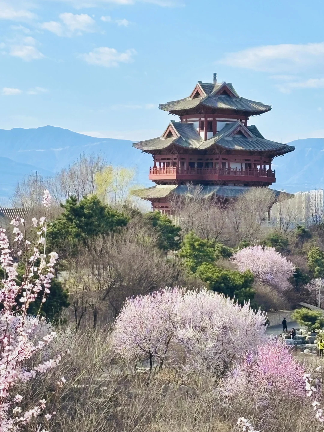 3.18 园博园桃花谷（附机位和地图）