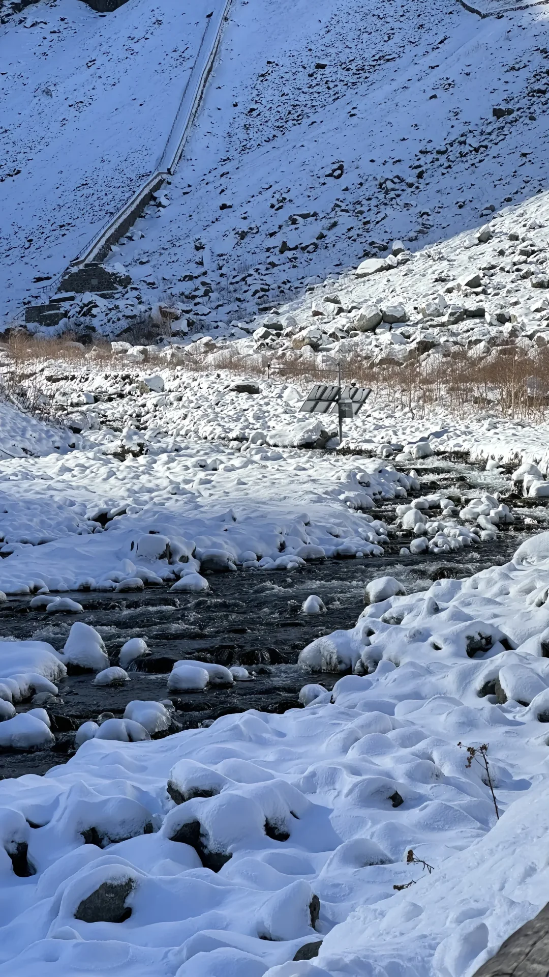 我怕美得你不想回家