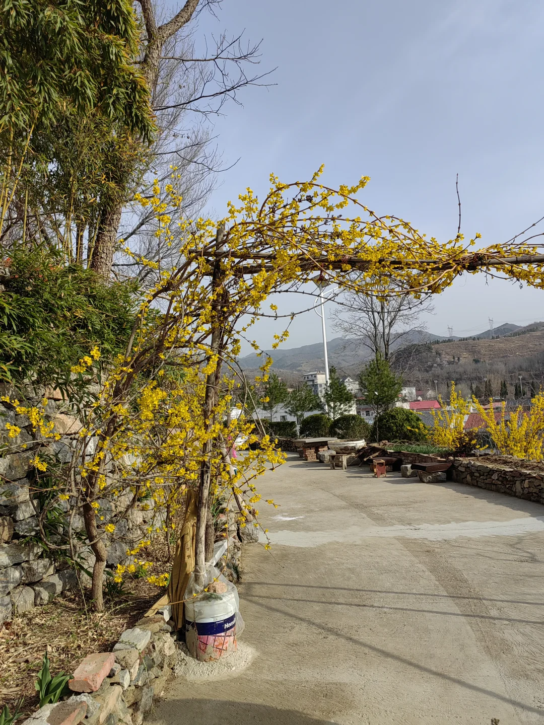 退休后我在南部山区的闲居生活