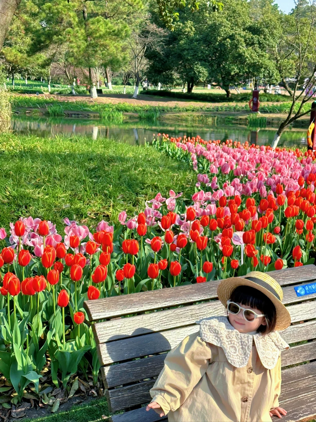 3.19实况！杭州太子湾刚回来，全是大实话！