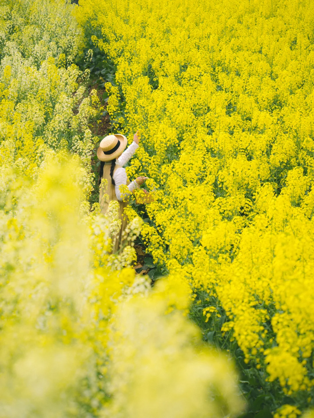 🚄高铁直达宝藏小城，两天一夜冷门小众玩法！