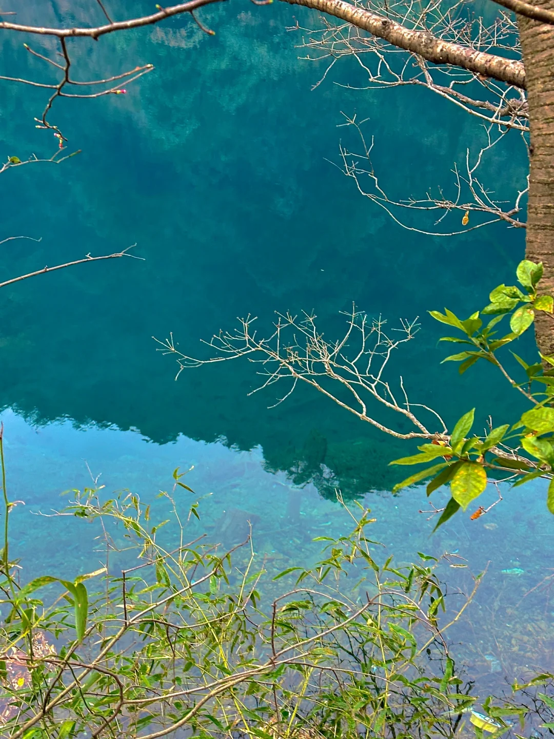 可恶！桐庐真的让我破防了😭