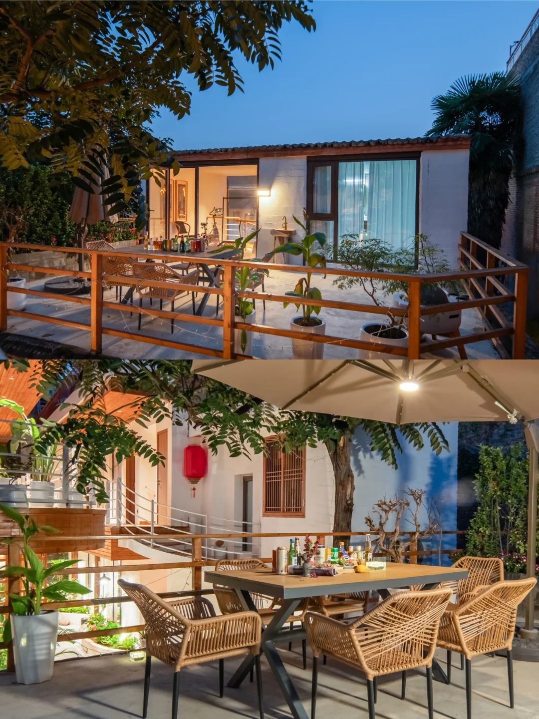 洛阳中国国花园，牡丹迷的必打卡地