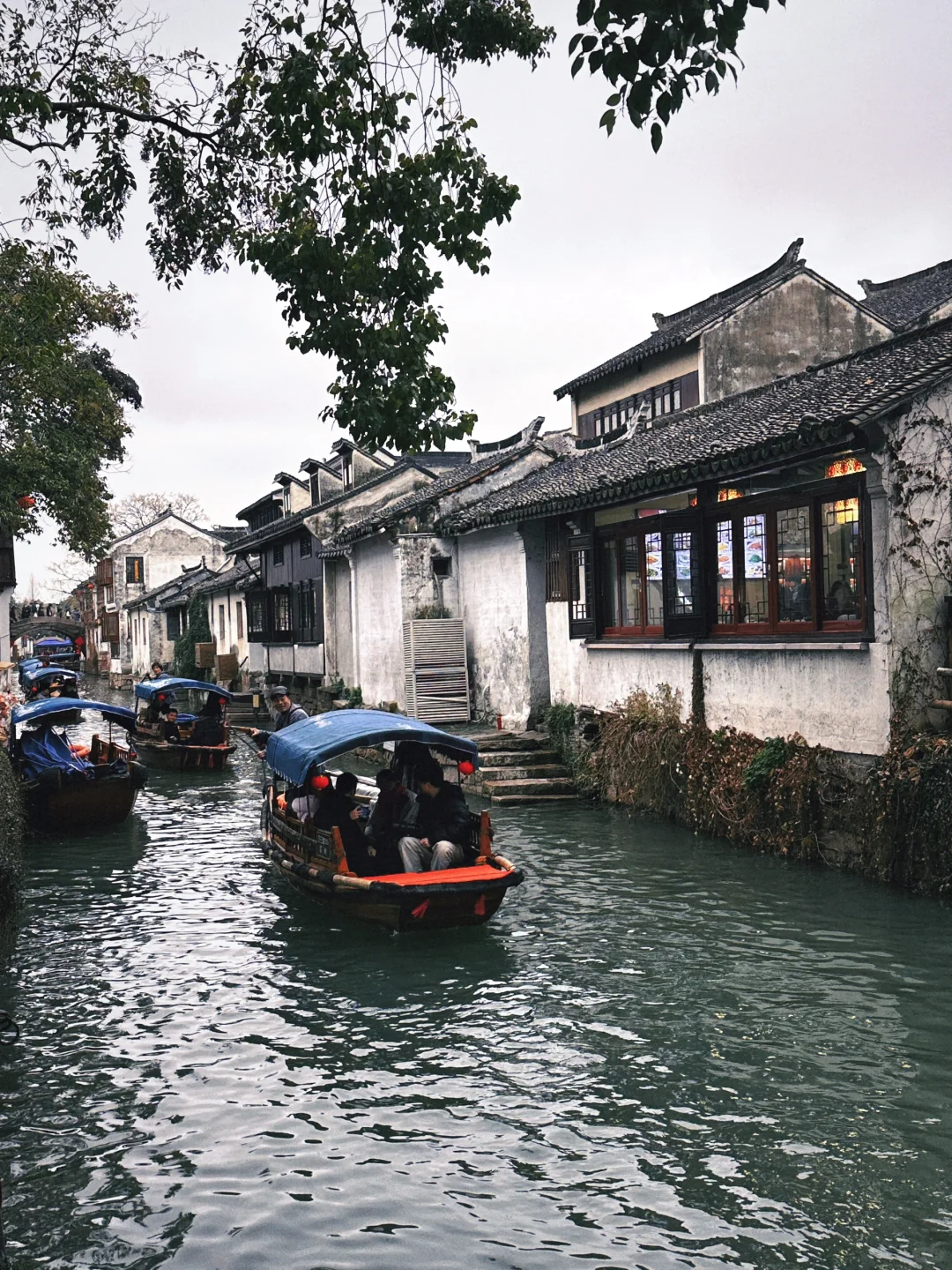 墨绿的小城水乡周庄古镇怎么玩？必看❗