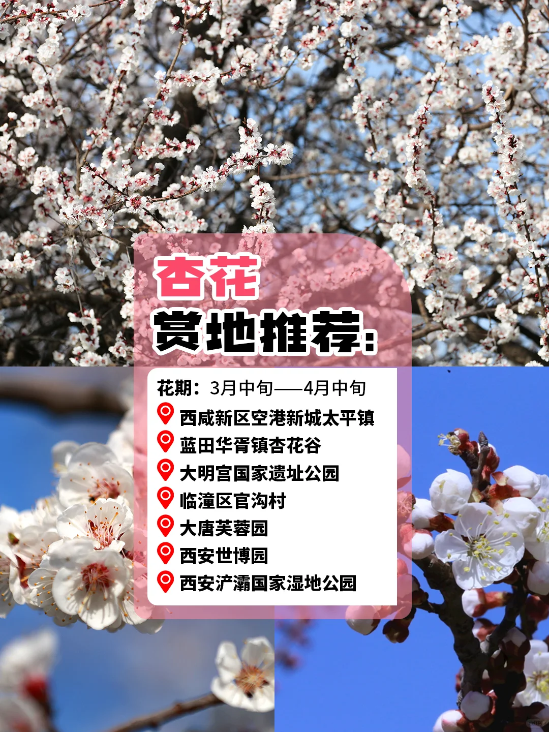 西安旅游赏花攻略🪸3～5 月份赏花圣地