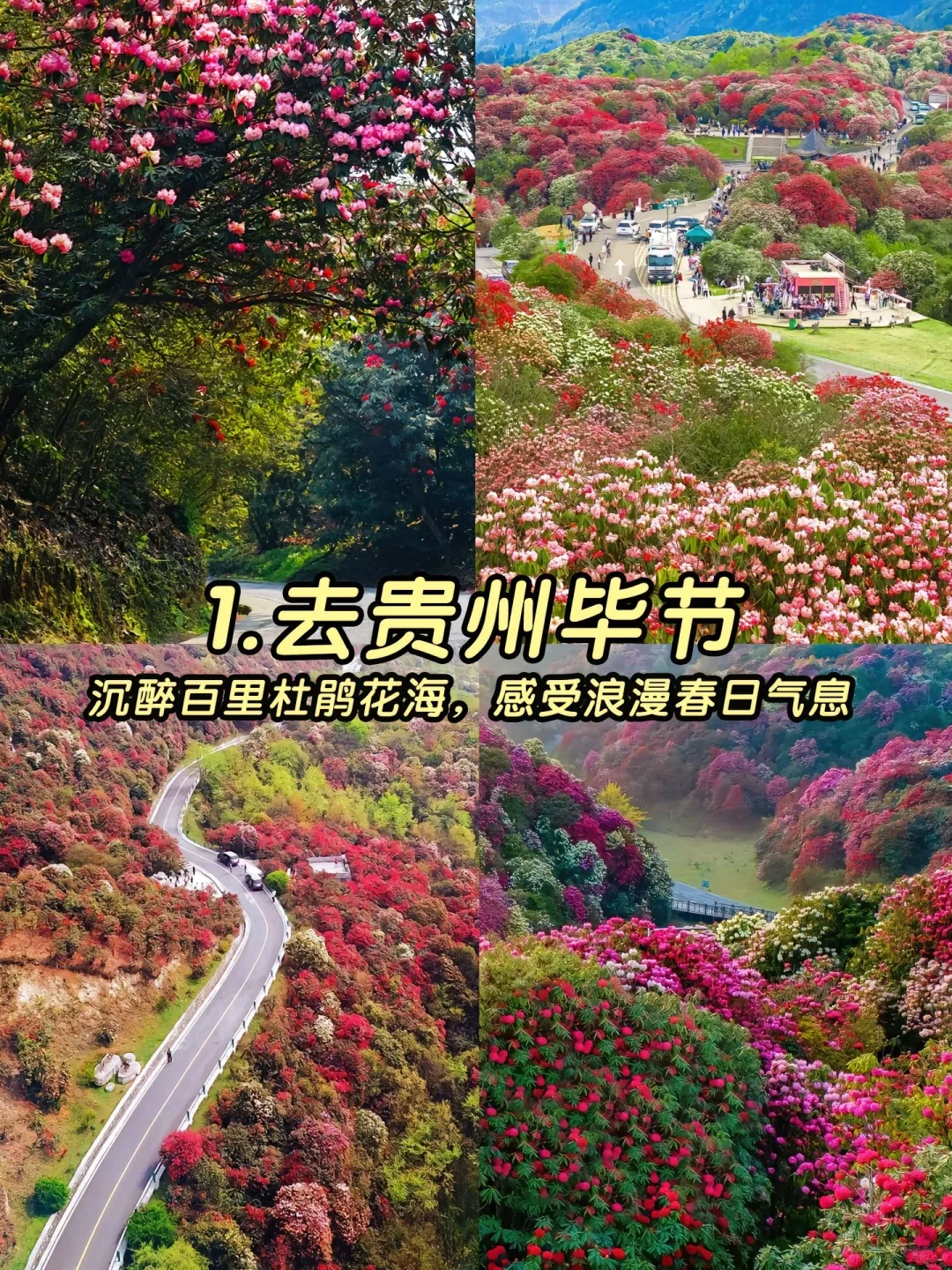 3-4月份最佳旅游地旅游攻略来咯！