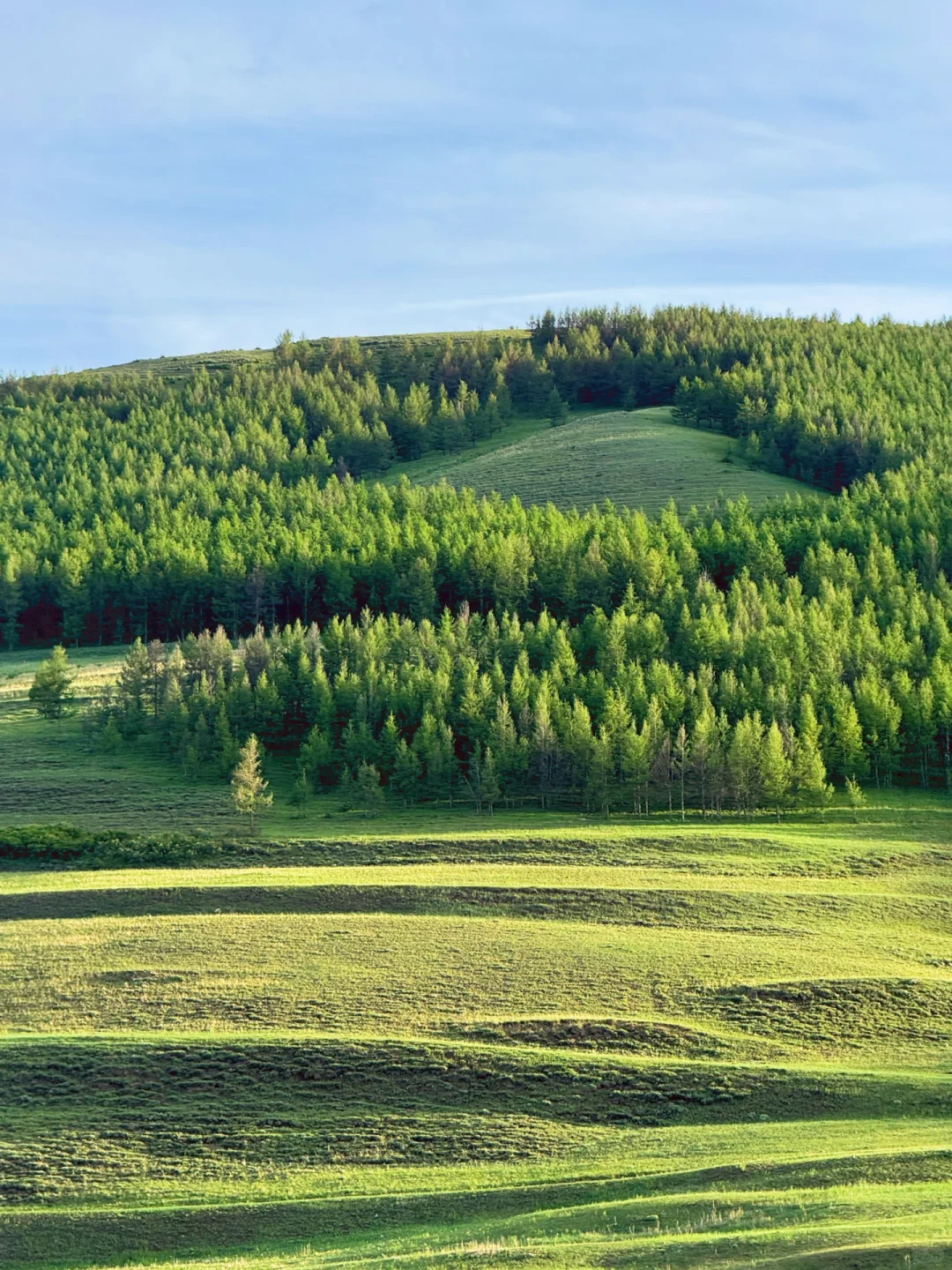 这个夏天总要来趟内蒙古小瑞士🌲(附live图)