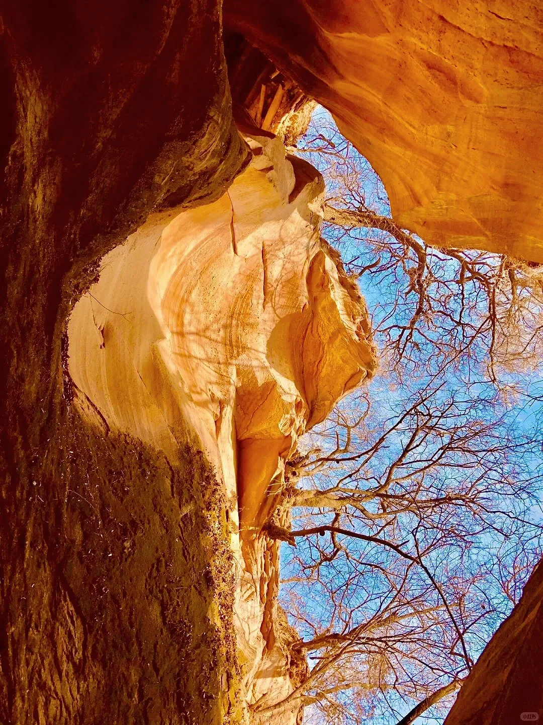 《国家地理》没骗我❗最震撼的羚羊谷在陕北!!