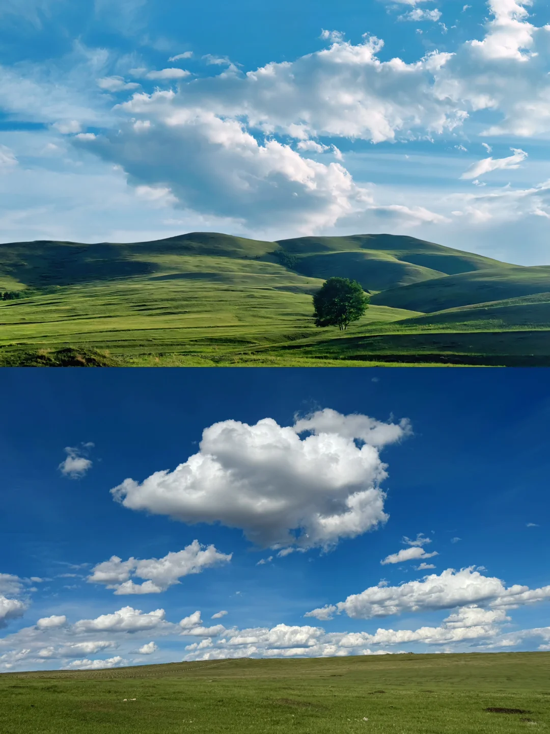 这个夏天总要来趟内蒙古小瑞士🌲(附live图)