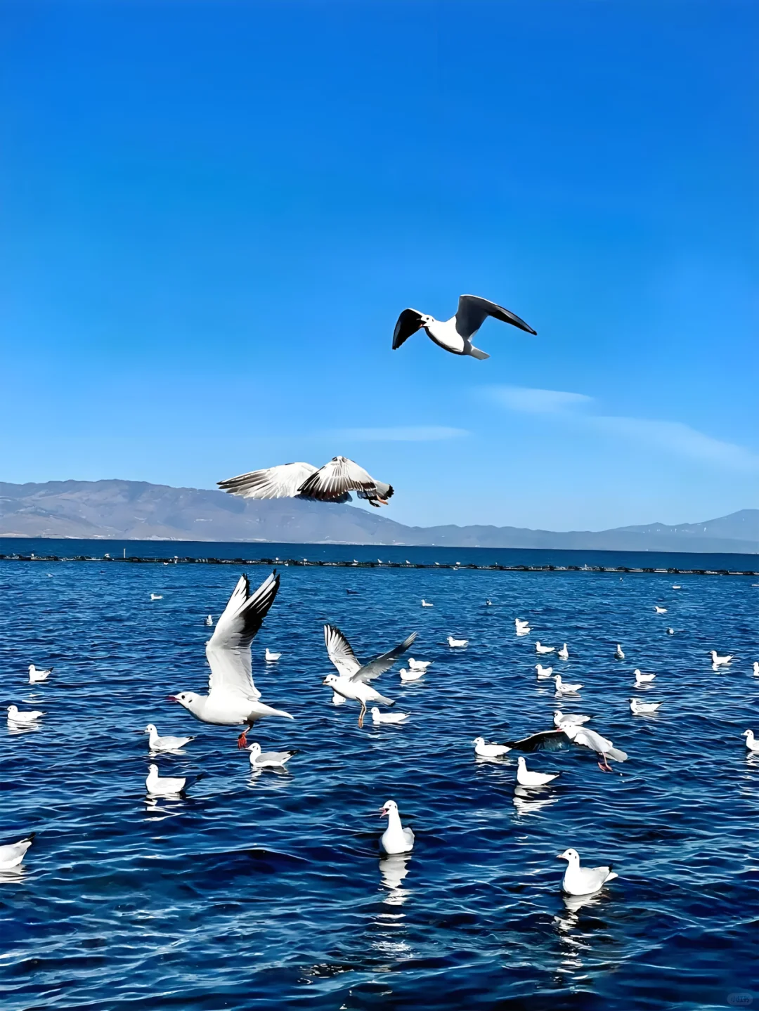 ✨大理 | 苍山洱海，奔赴一场浪漫之约💕