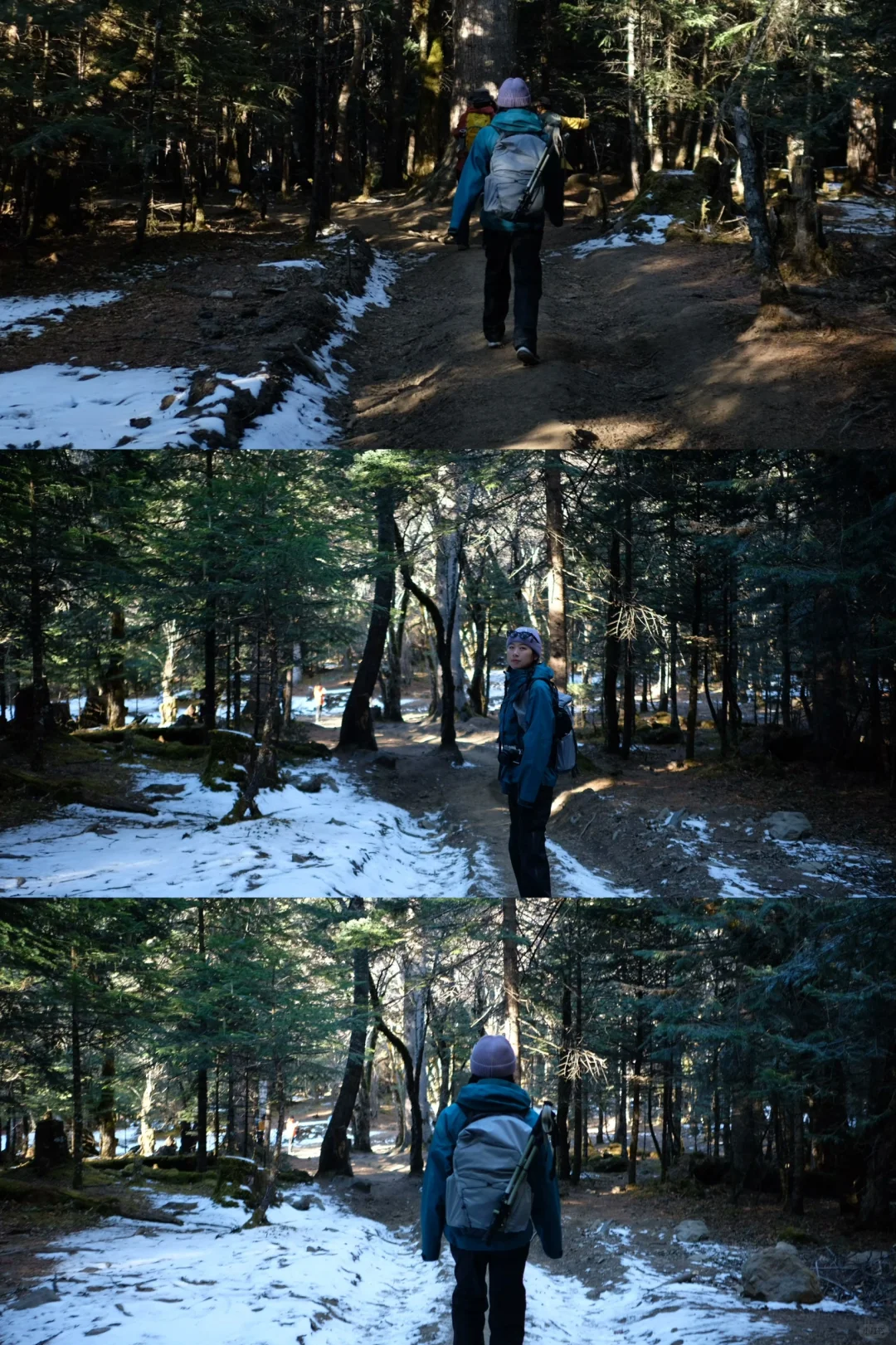 五天五晚 虎跳峡➕雨崩