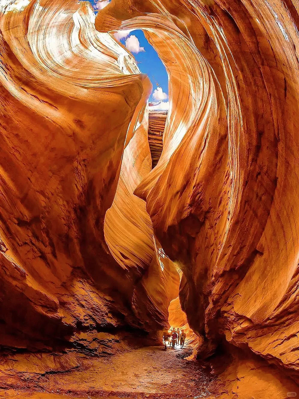 《国家地理》没骗我❗最震撼的羚羊谷在陕北!!