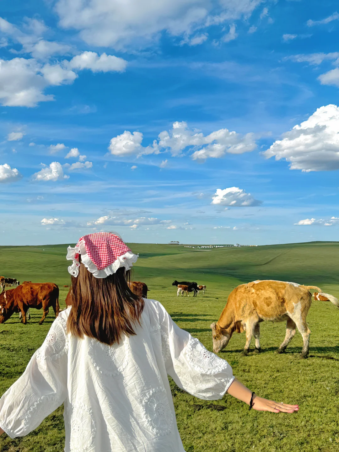 这个夏天总要来趟内蒙古小瑞士🌲(附live图)