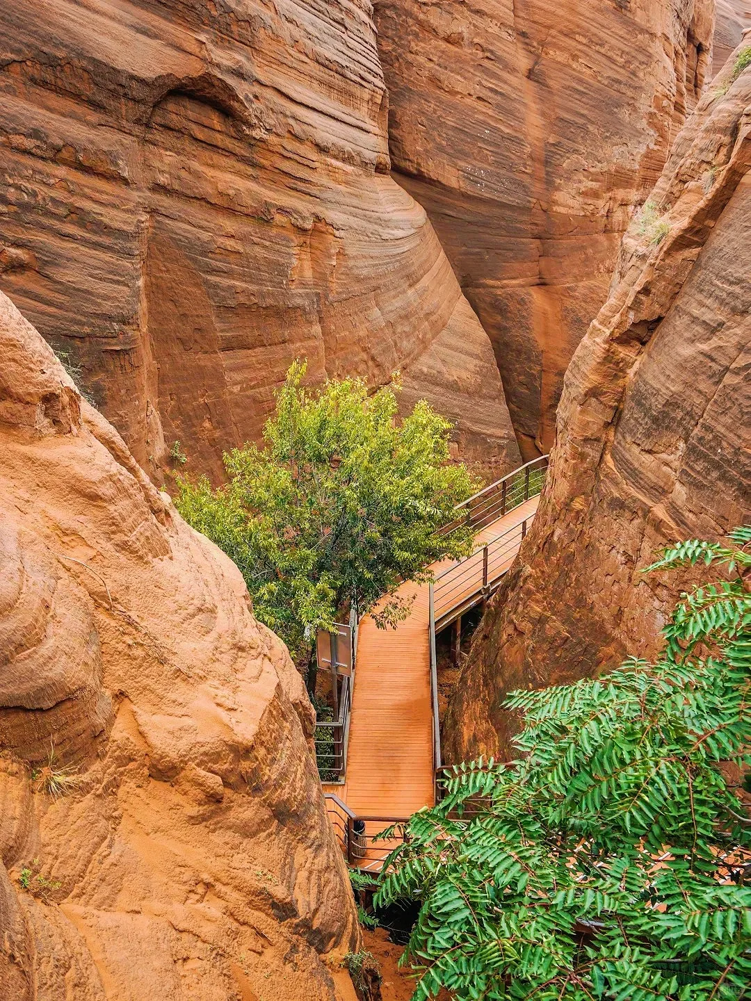 《国家地理》没骗我❗最震撼的羚羊谷在陕北!!