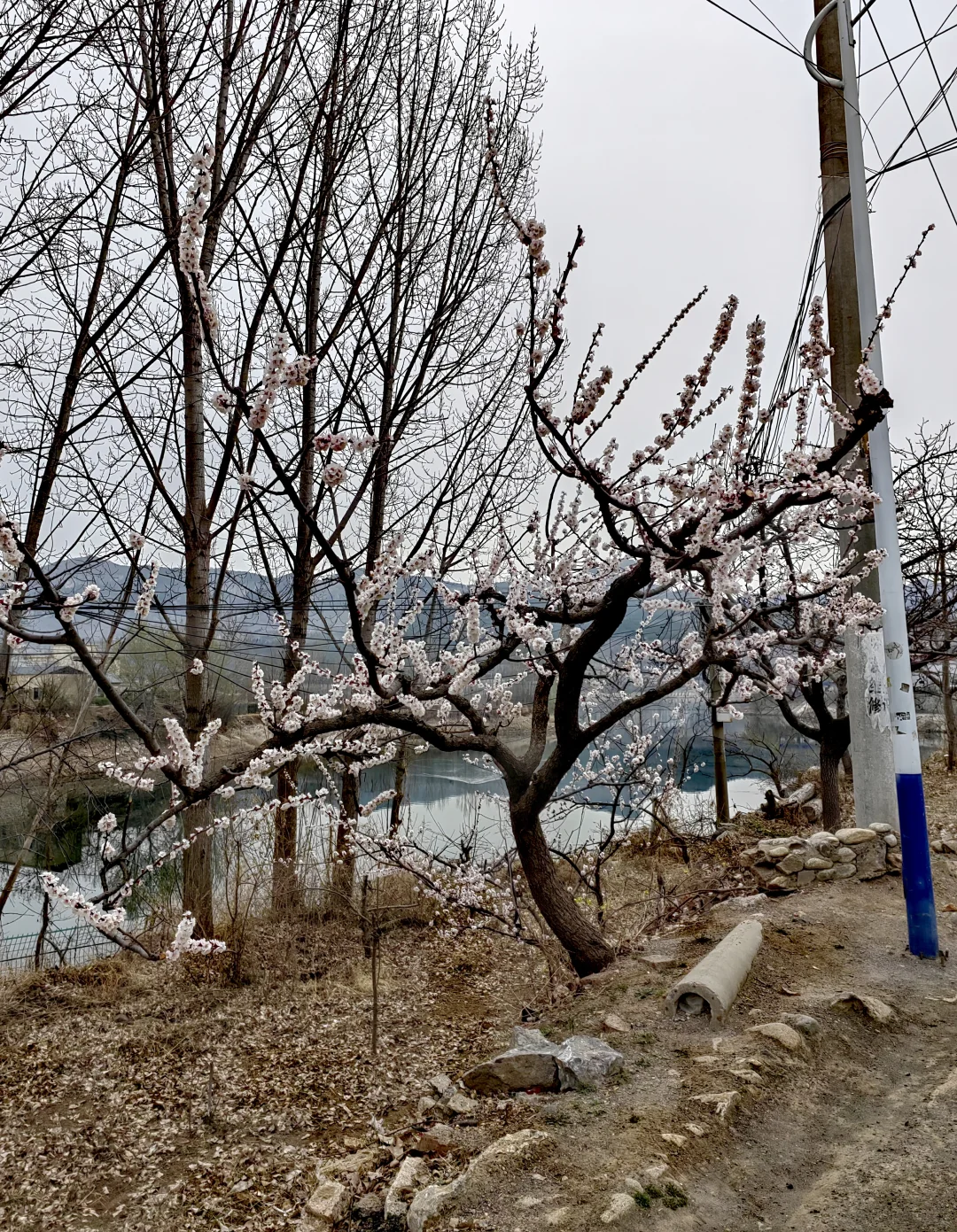 退休后我在南部山区的闲居生活