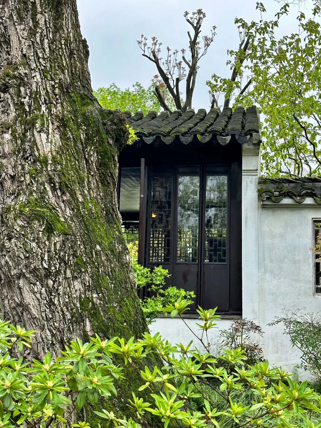 苏州📍2天1晚攻略已做好✅ 建议复制这条路线