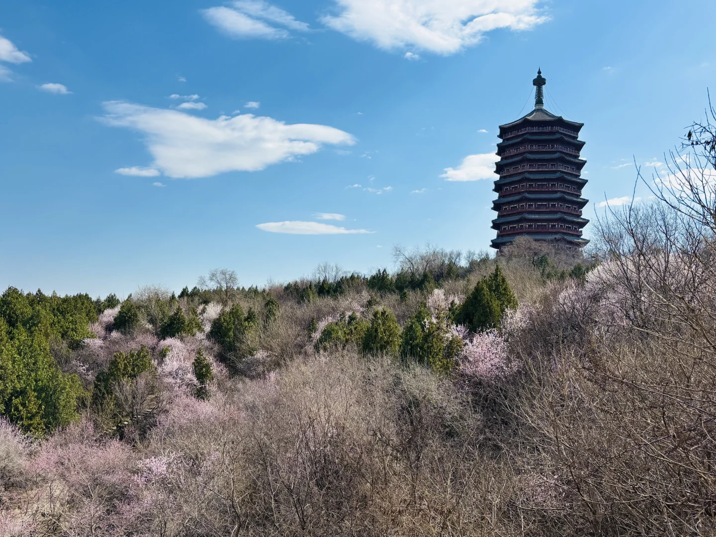 3.18 园博园桃花谷（附机位和地图）