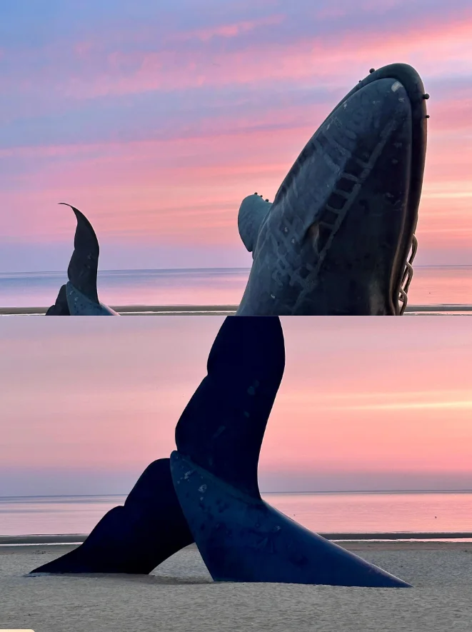 拜托！3-5月去青岛旅游的宝子们一定要看！