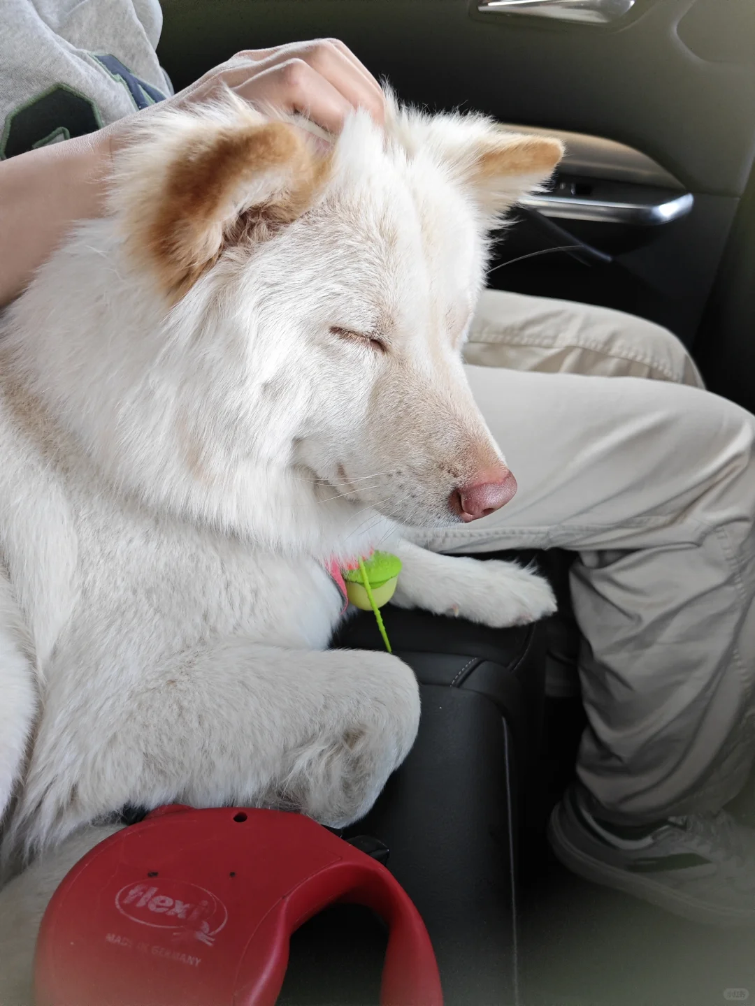 说走就走的日照之行