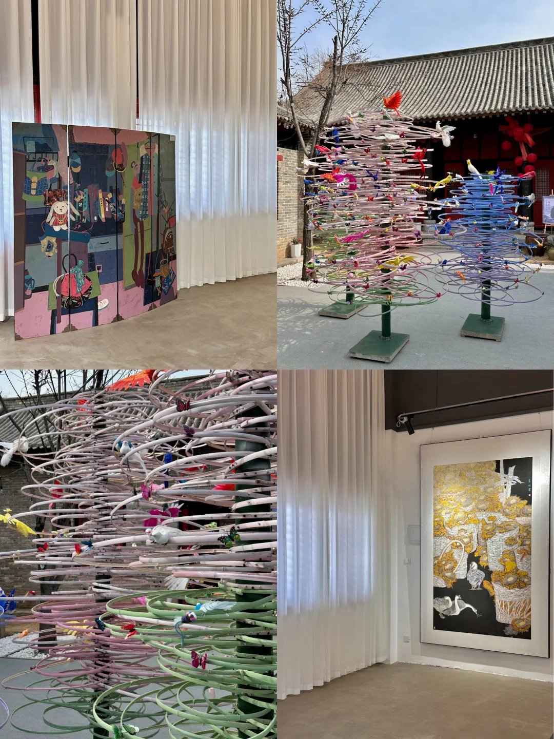 不是大理….是郑州！！！🥹🥹🥹