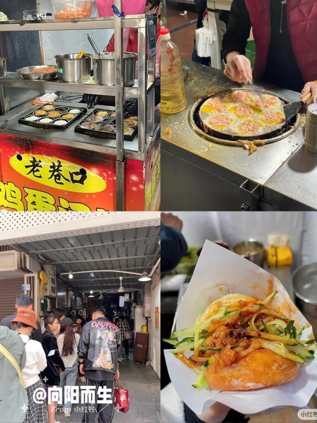 听劝！！厦门旅游不费脑攻略。。