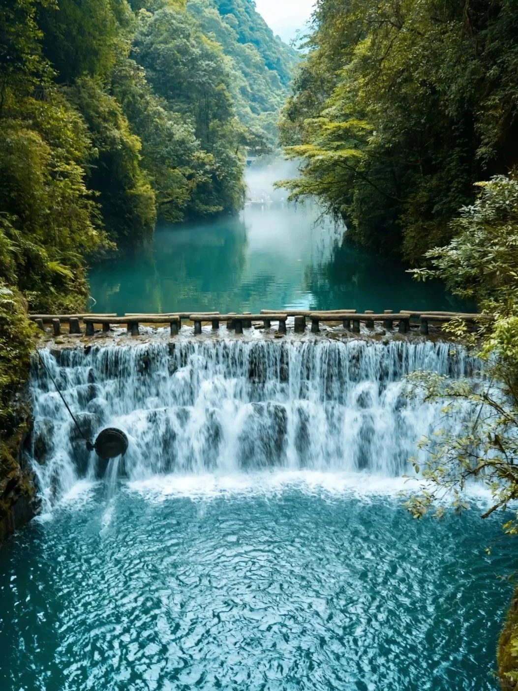 听劝❗️❗️千万不要跟风来恩施